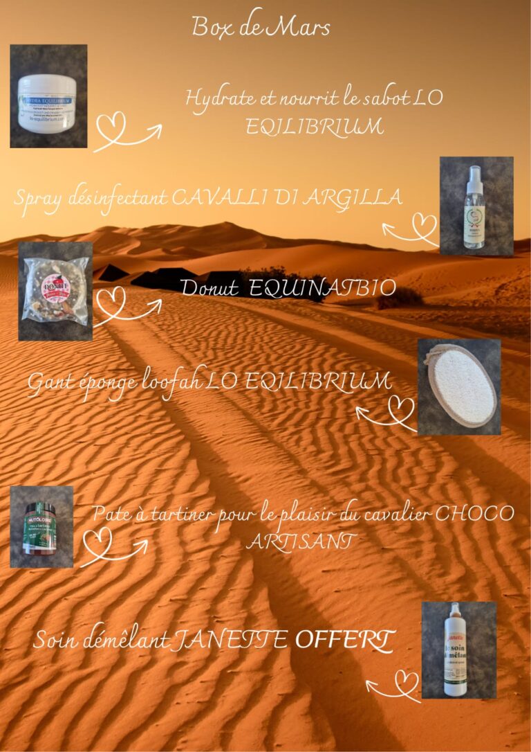 box équitation mars 2026