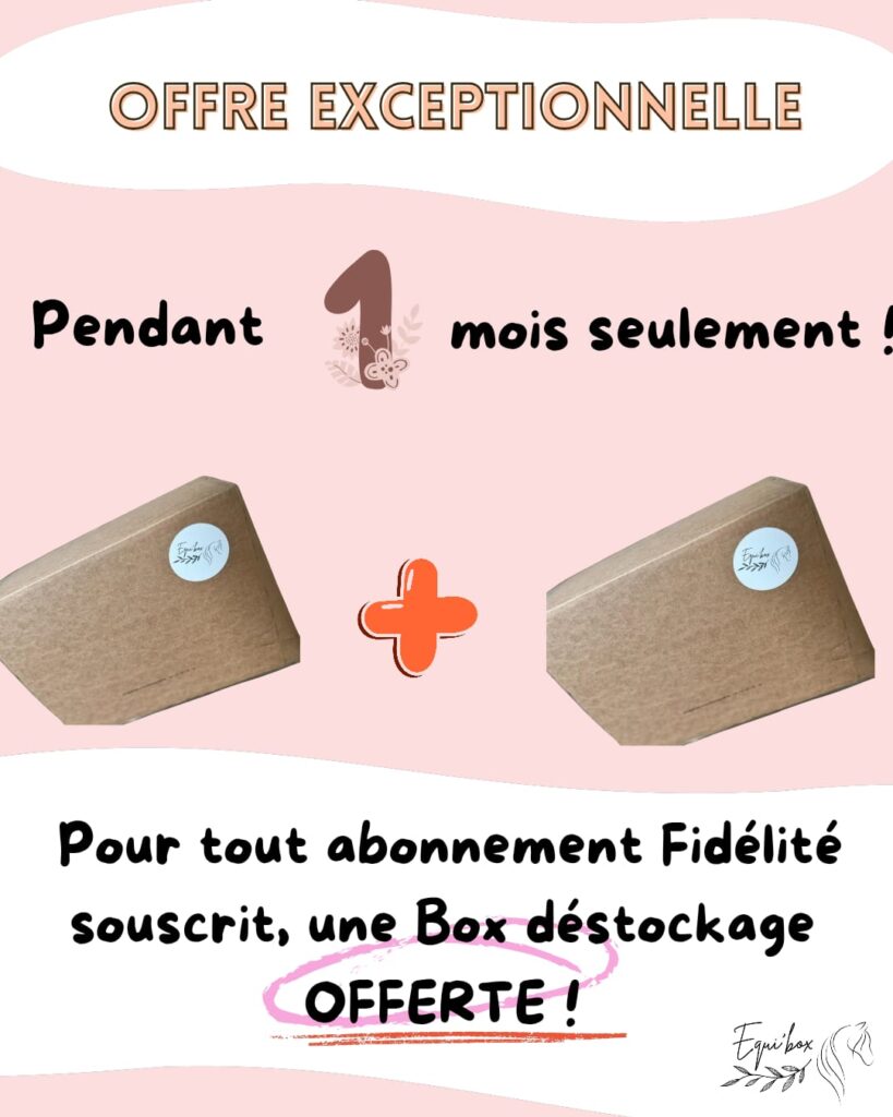 offre août 2026