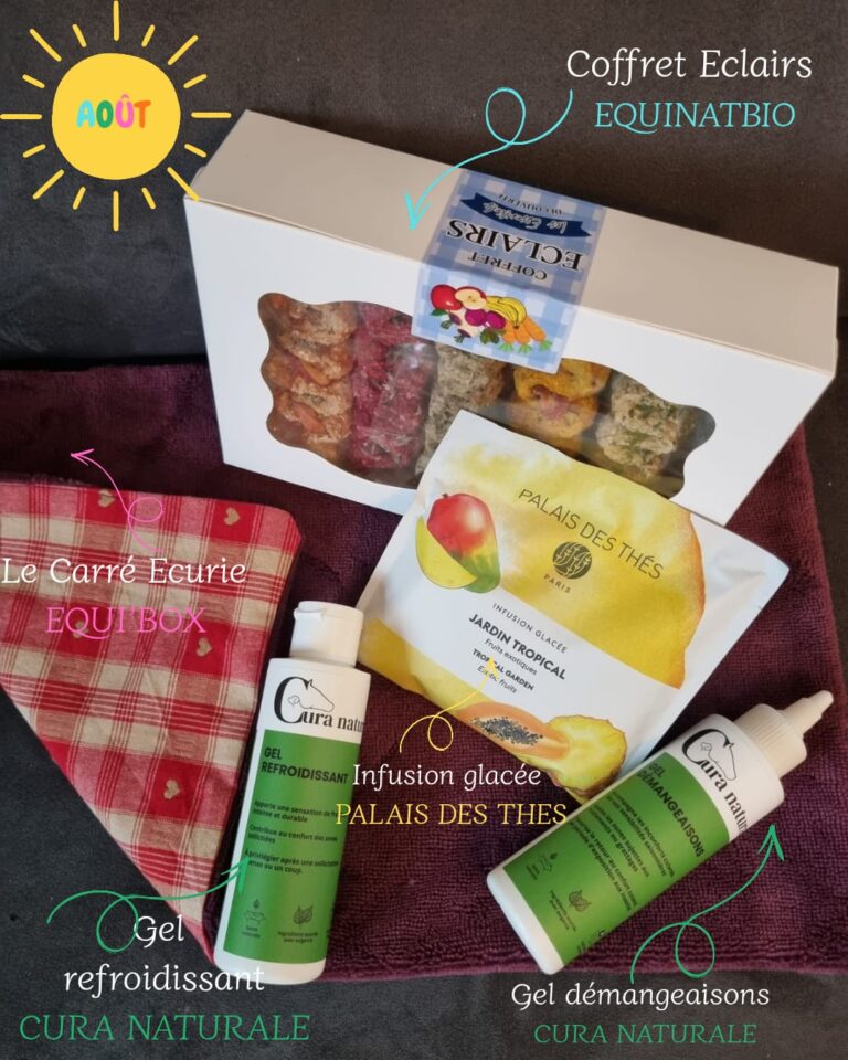box équitation août 2026