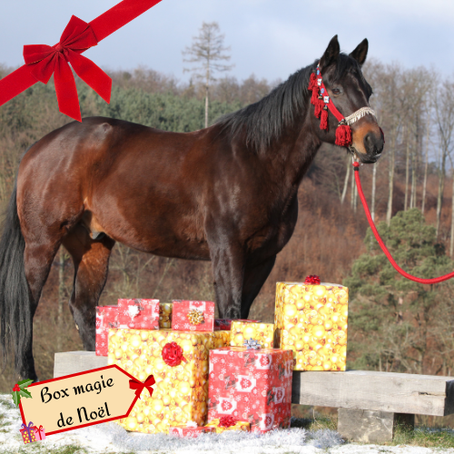 BOX MAGIE DE NOËL