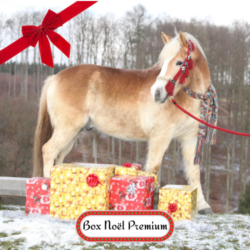 BOX NOEL PREMIUM BOX NOEL PREMIUM